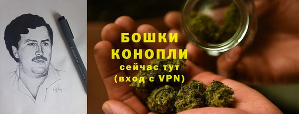 скорость Лагань